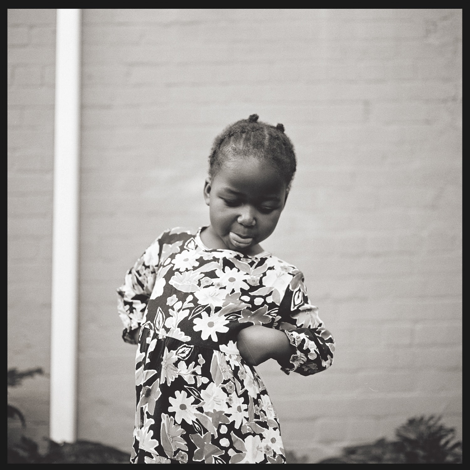 Dialectics%20Trans