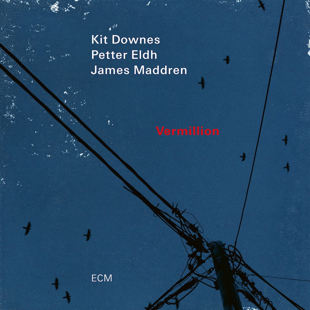 Dialectics%20Trans
